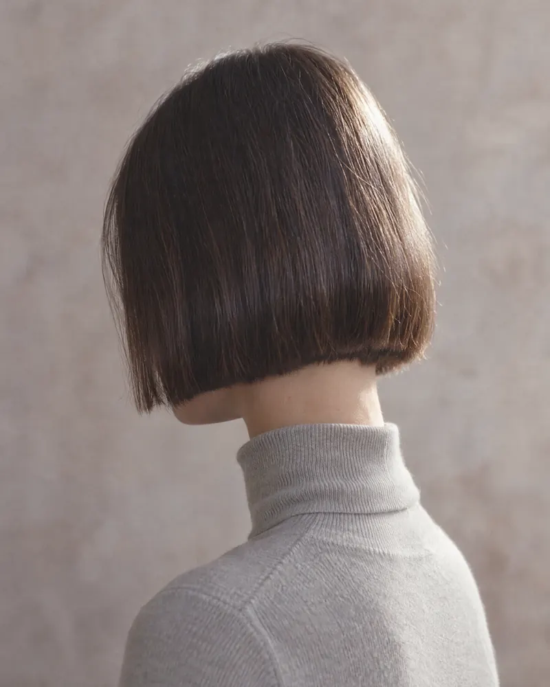 A sleek, blunt chin-length dark brown bob, seen from behind
